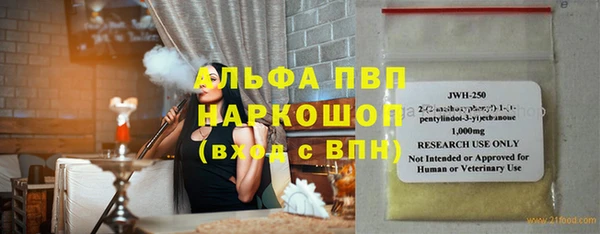 индика Арсеньев