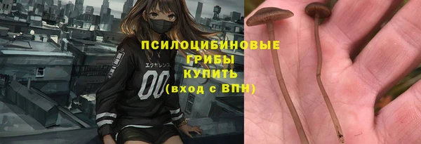 индика Арсеньев