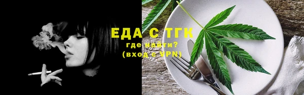 индика Арсеньев