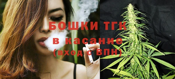 индика Арсеньев