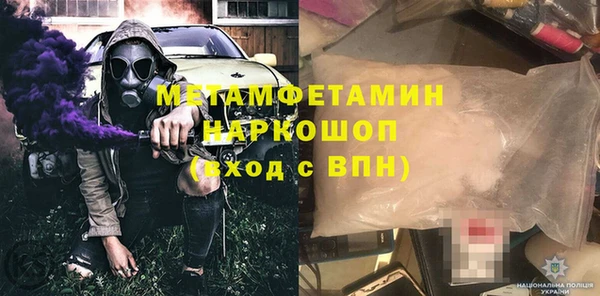 индика Арсеньев