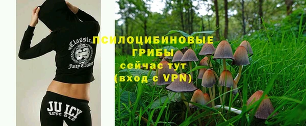 индика Арсеньев