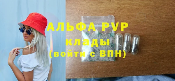 индика Арсеньев